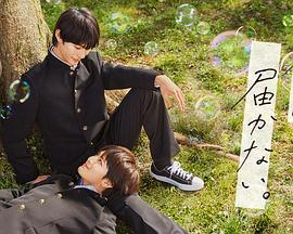 月光变奏曲电视剧免费观看